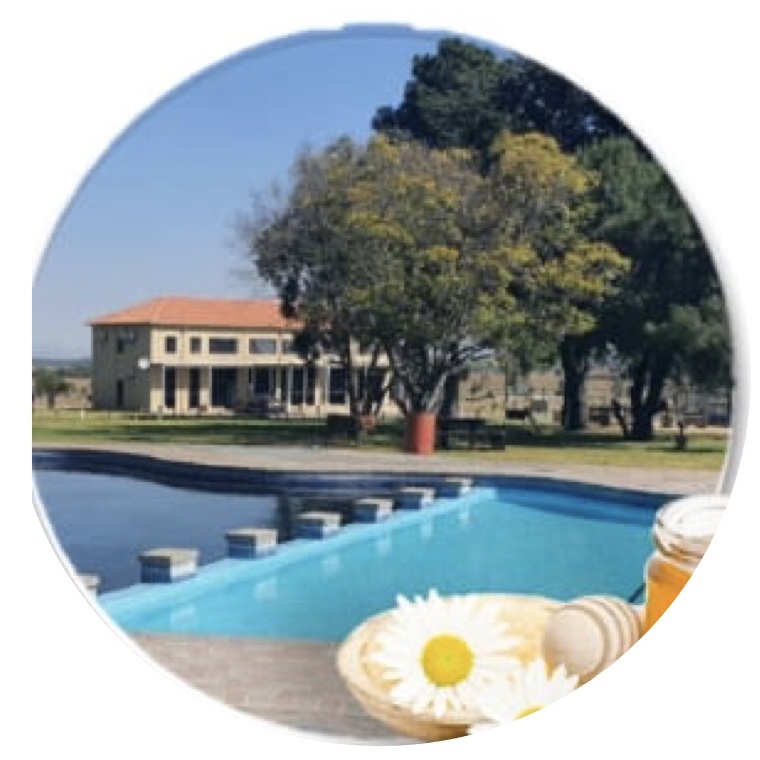 A61706C3-B814-434A-AECD-C713919A0630